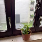 Apartment For 2 With Garden In Leuven City Centre